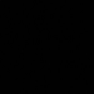 Meet your Posher, Alisha